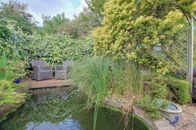 Garden at Back