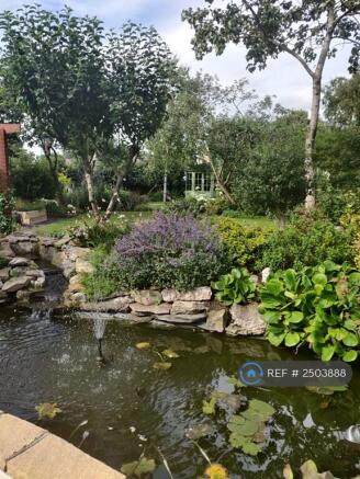 Pond