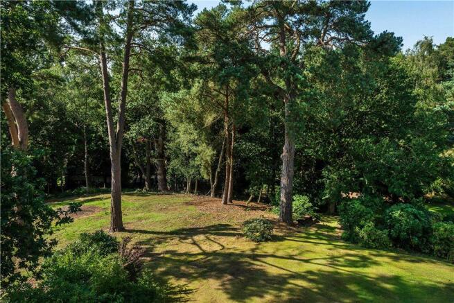 Woodland