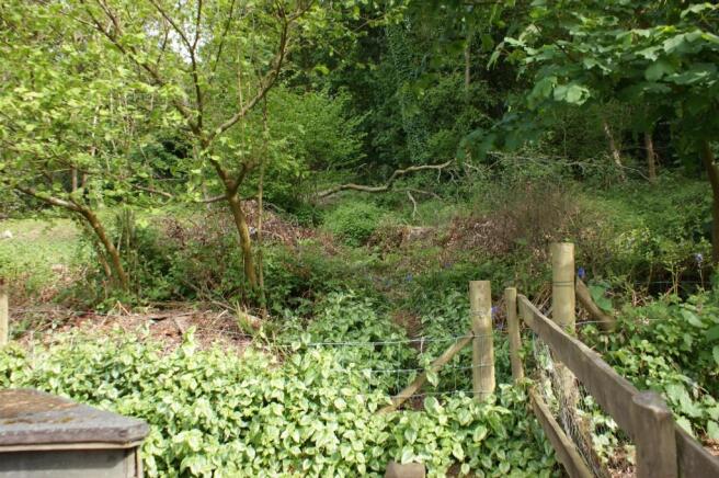 Neighbouring woods