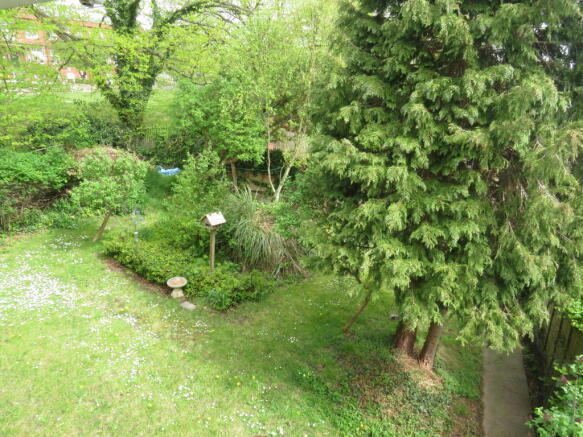 Photo 13