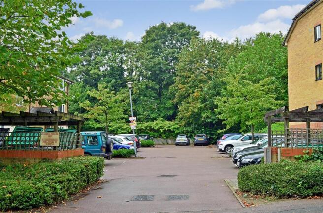 Driveway/Parking