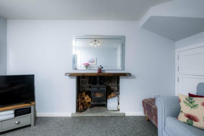 Log Burner