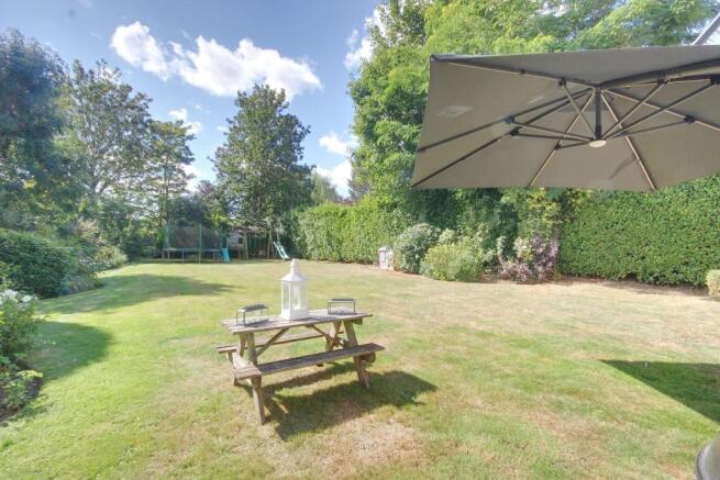 garden 3.jpg