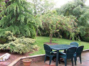 Garden 1
