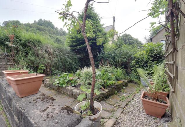 Garden 1