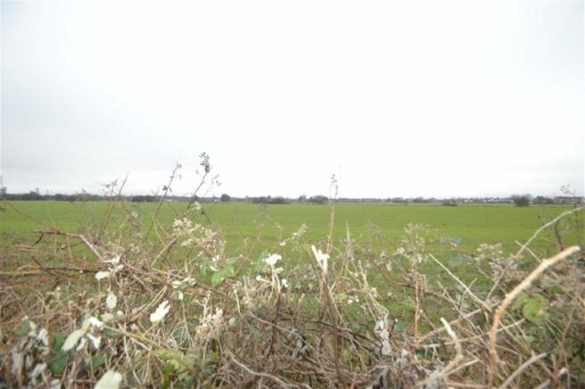 View from the rear g
