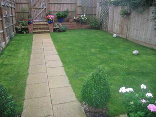 Photo 6