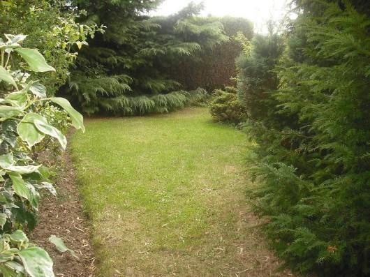 Secret Garden