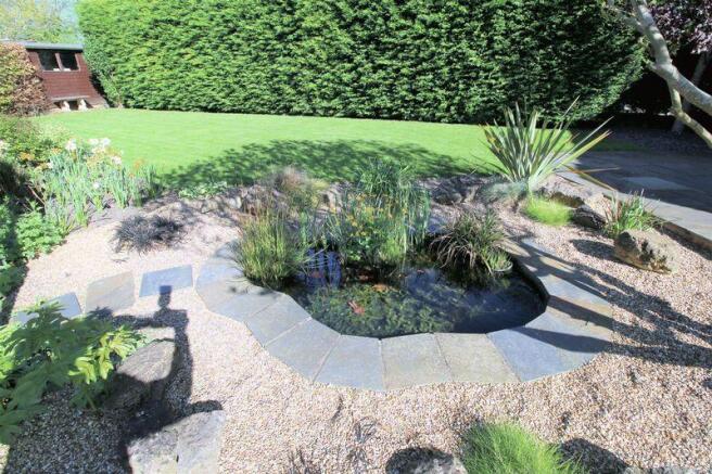 Pond