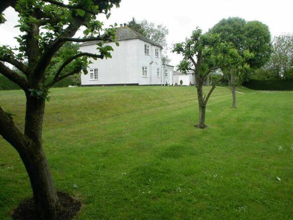 Rear of Property