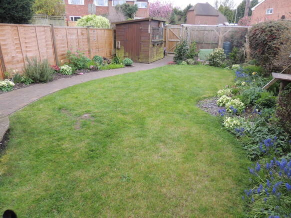 Photo 4
