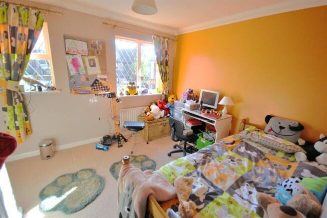 Photo 11