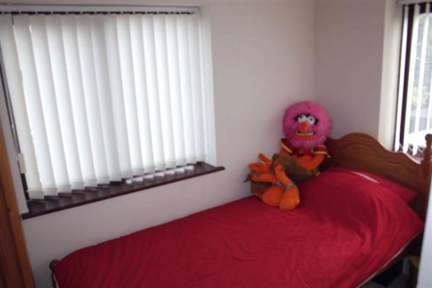 Photo 8