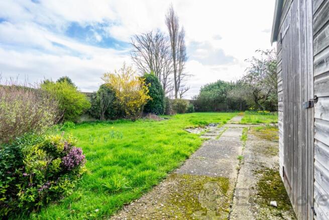 South-Facing Garden