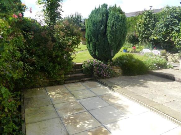 Photo 15