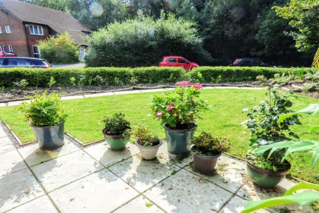 Garden 1