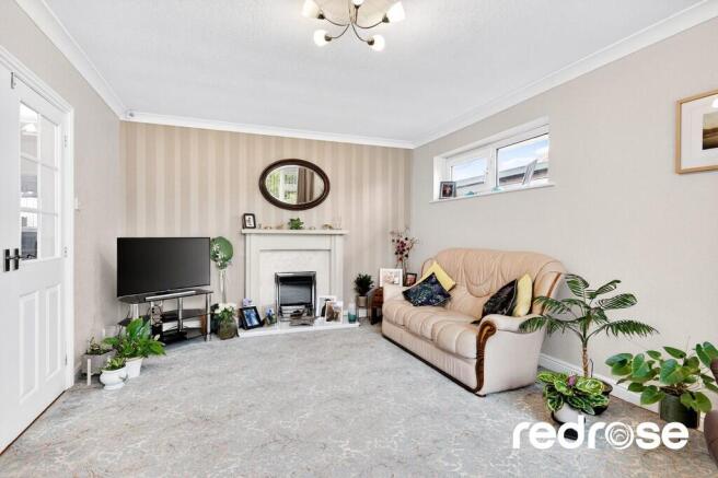 web_6 The Asshawe...