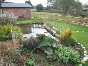 Side Garden