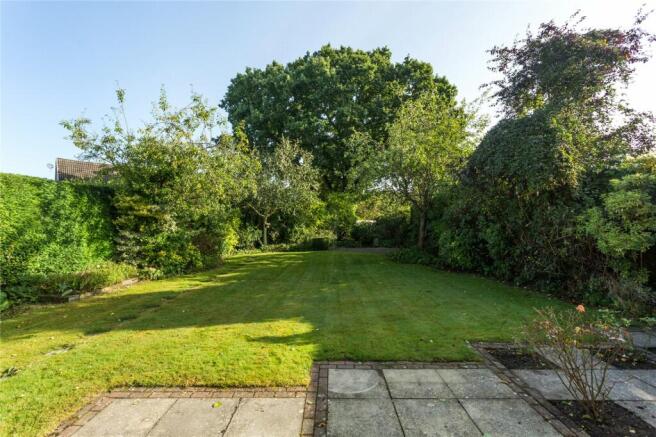 Photos