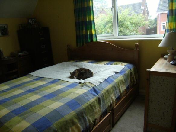 Photo 9