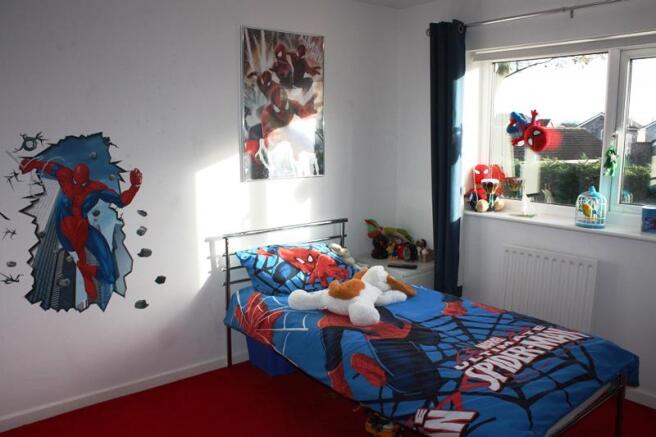 Photo 10