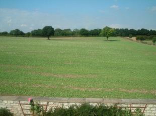 PANORAMIC VIEW