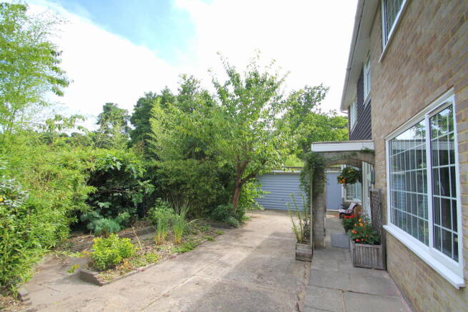 Photo 6