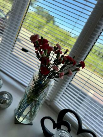 Photo 38