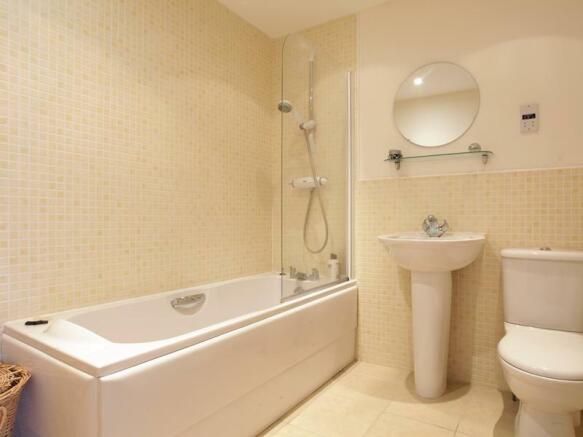Picture 8