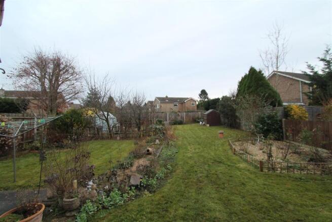 Garden.JPG