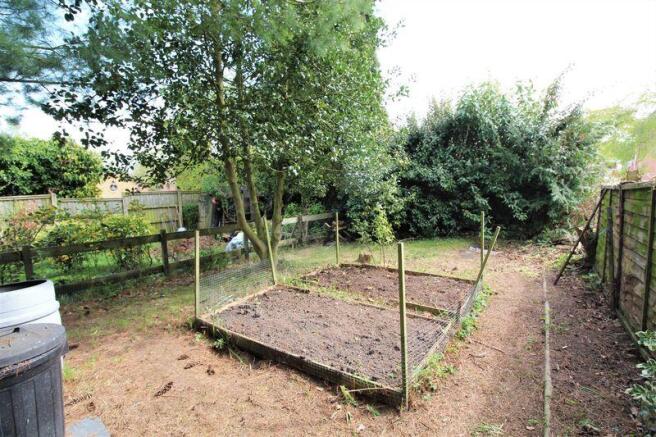 Vegetable Garden