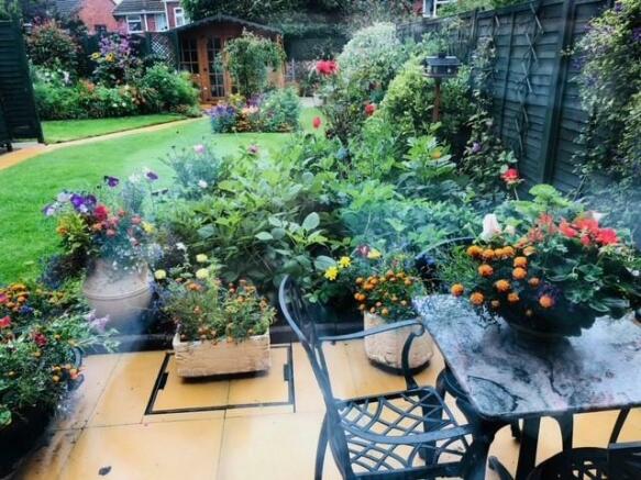 Vendor's summer garden 2.jpg