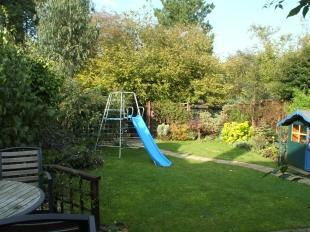 Garden Shot