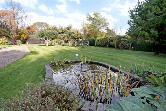 Pond