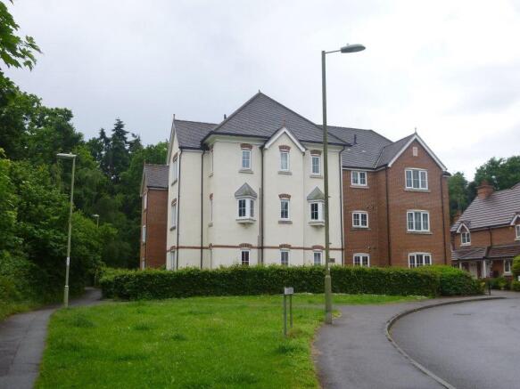 Photo 11