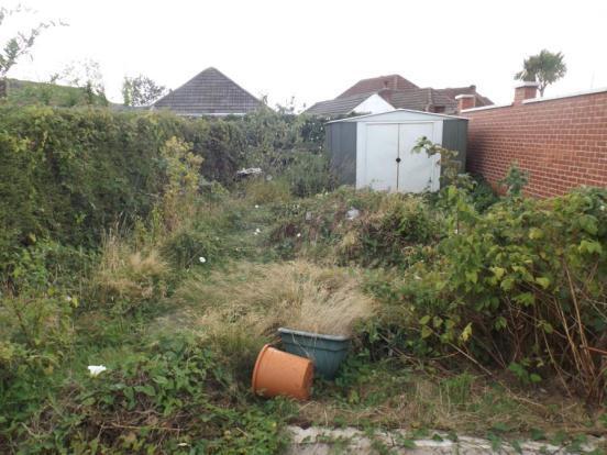 Garden 2