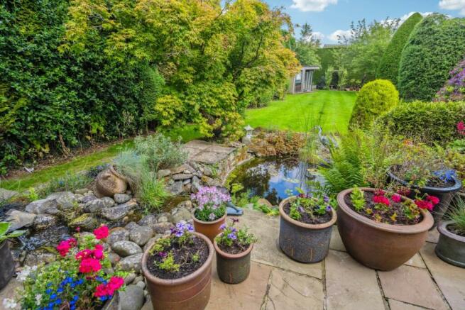 Pond & Garden