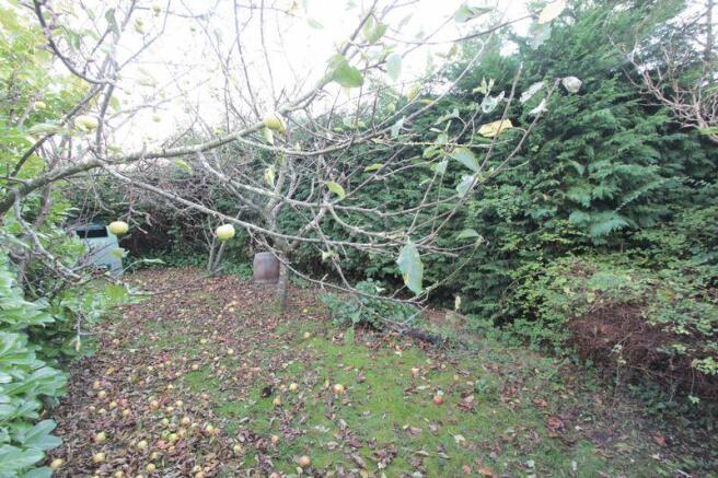 Further Garden...