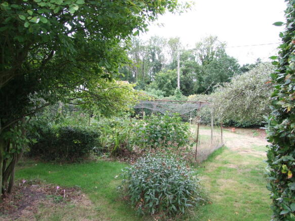 Photo 22