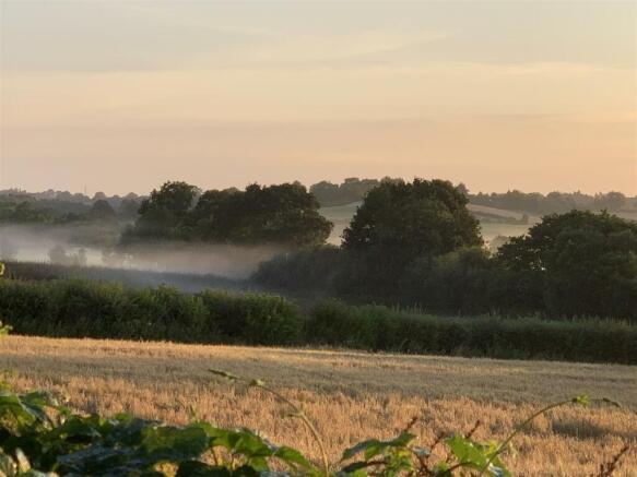 Rear view sun on fields.jpg
