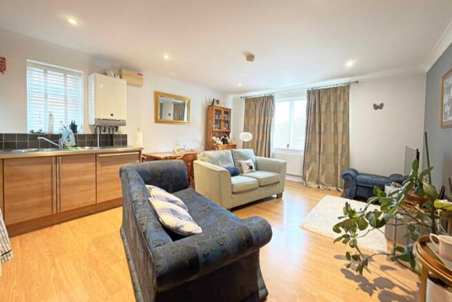 Living Room / Kitchen