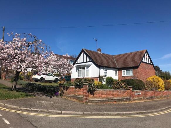 Blossom Tree In Bloom