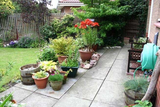 garden 3