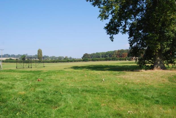 Cricket Pitch