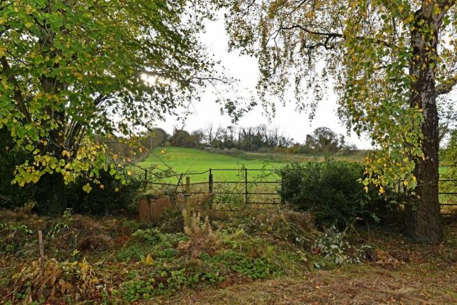Garden & View