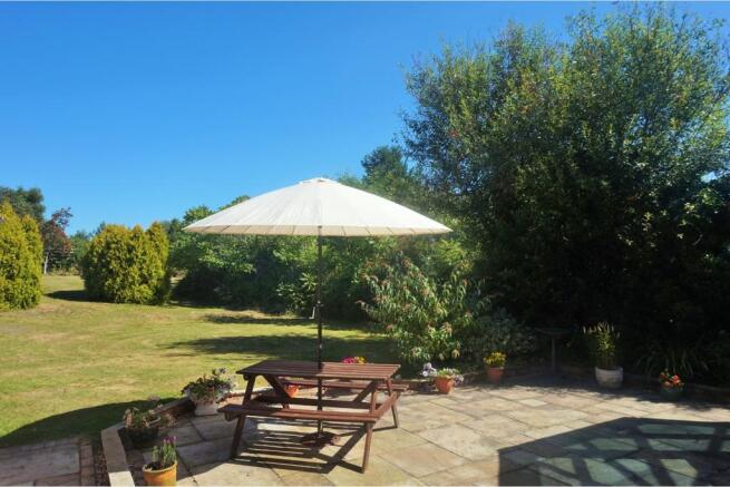 Sun Terrace
