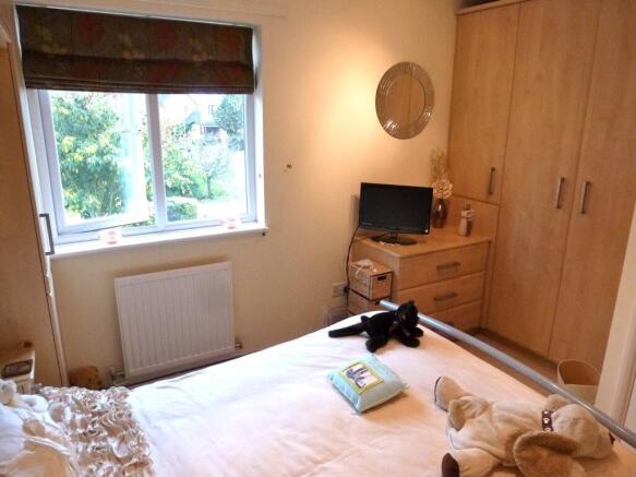 Photo 11
