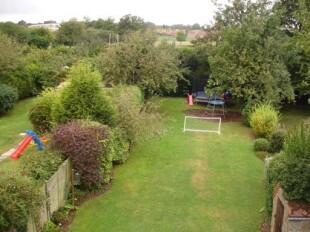 Garden (over view)