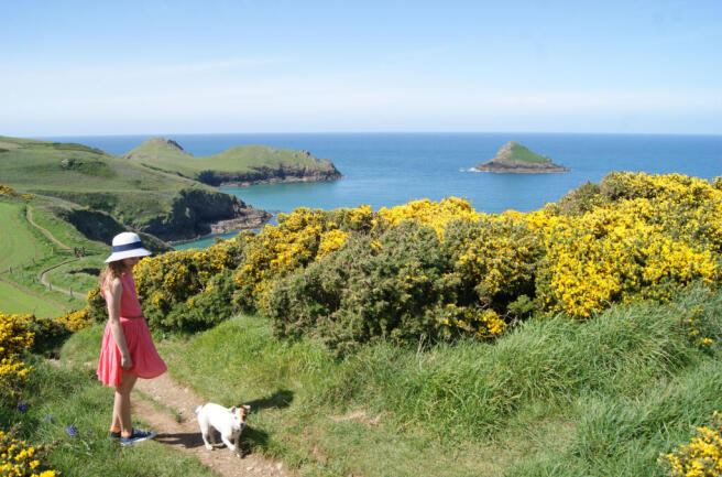 6669935e16ca6_dogwalker on coast path